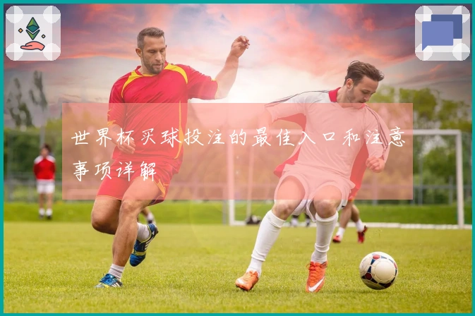 世界杯买球投注的最佳入口和注意事项详解