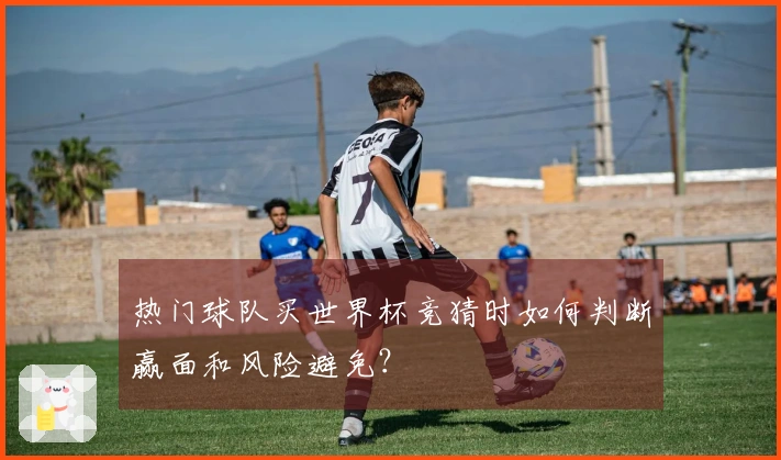 热门球队买世界杯竞猜时如何判断赢面和风险避免？