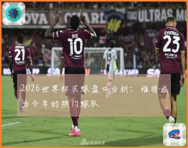 2026世界杯买球盘口分析：谁将成为今年的热门球队