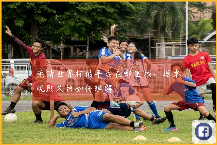 竞猜世界杯的平台在哪里找，返水规则又该如何理解？