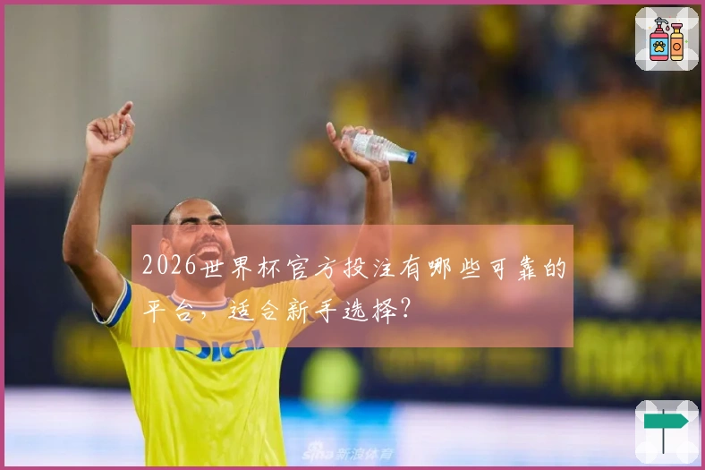 2026世界杯官方投注有哪些可靠的平台，适合新手选择？