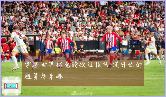 掌握世界杯竞猜投注技巧 提升你的胜算与乐趣