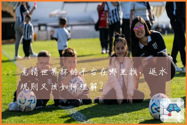 竞猜世界杯的平台在哪里找，返水规则又该如何理解？