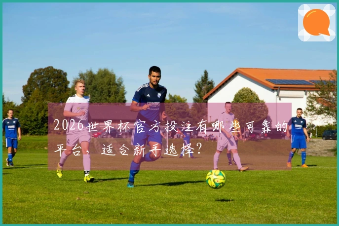 2026世界杯官方投注有哪些可靠的平台，适合新手选择？